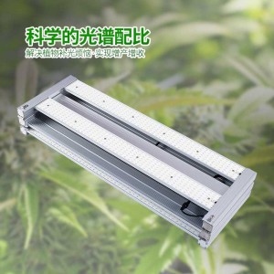 工業(yè)大麻燈