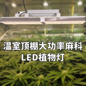 溫室頂棚大功率麻科LED植物燈