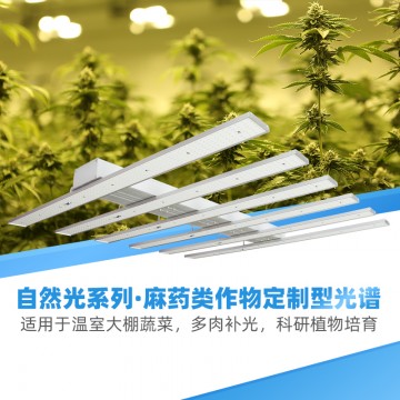 大型農(nóng)場(chǎng)種植適用T型大功率植物補(bǔ)光燈