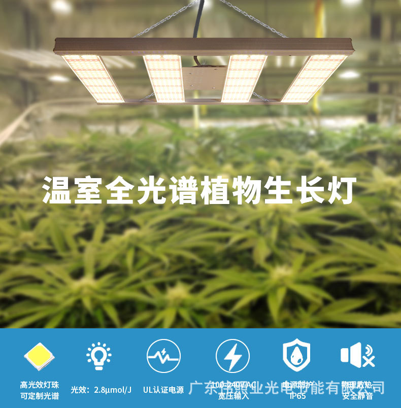 外貿(mào)全光譜led grow light種植燈