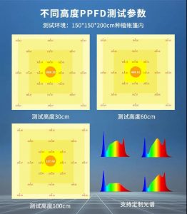 不同高度PPFD測試參數