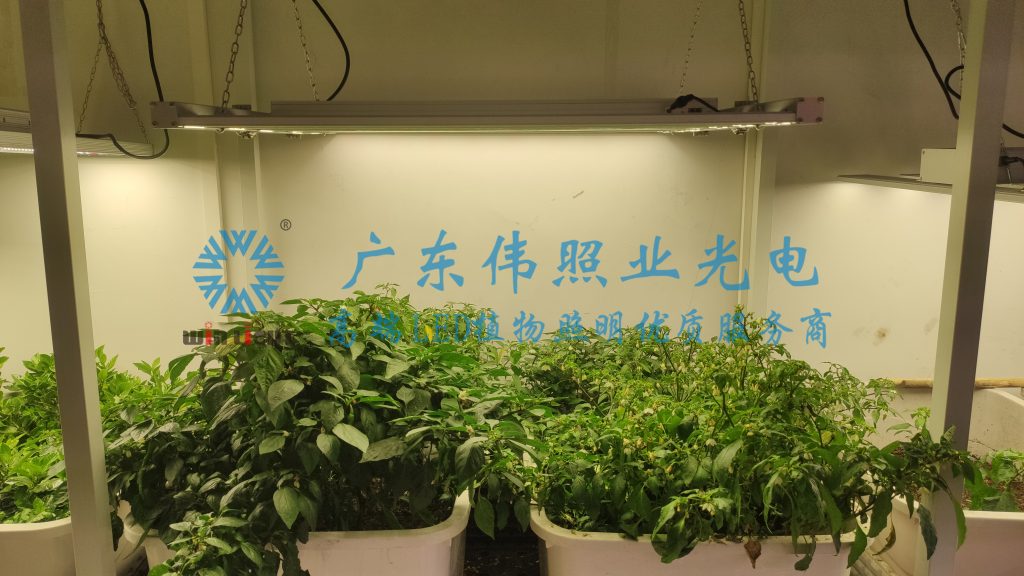 植物種植補光系統(tǒng)